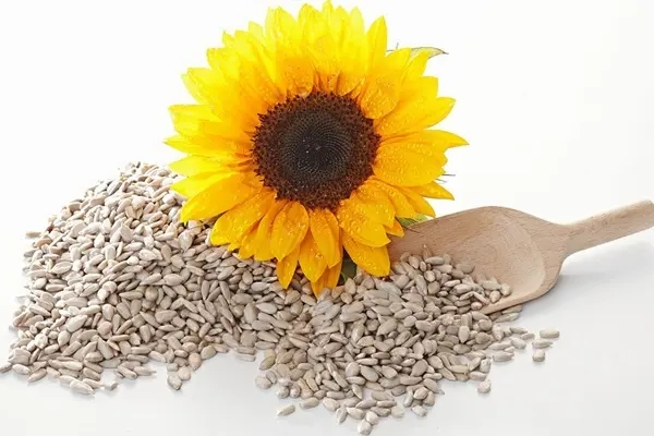 快盈VIII体育
葵花籽预处理解决方案