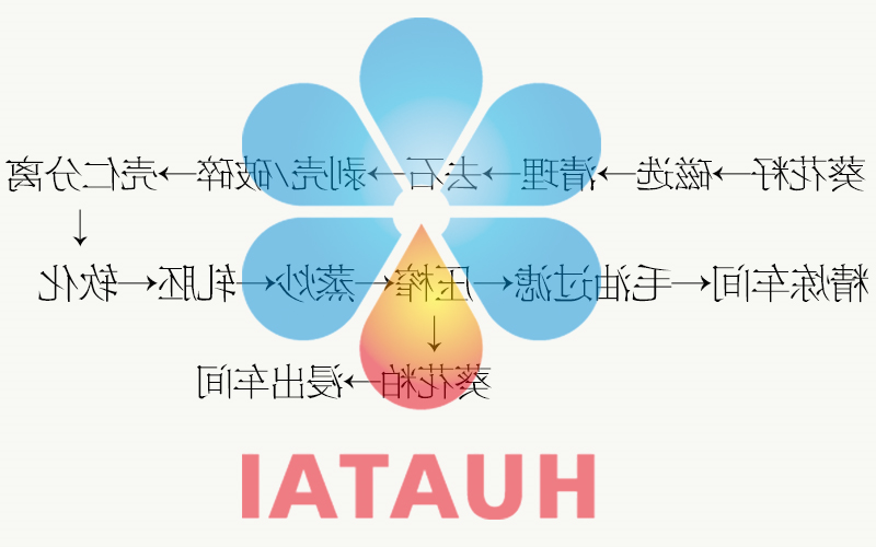 葵花籽预处理工艺